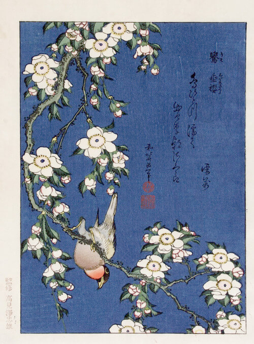 《鷽與垂櫻》葛飾北齋