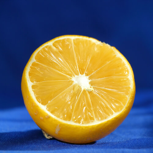 檸檬:5