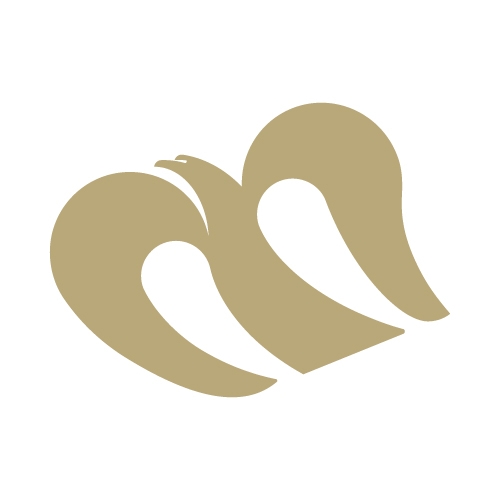 華信航空,舊標誌